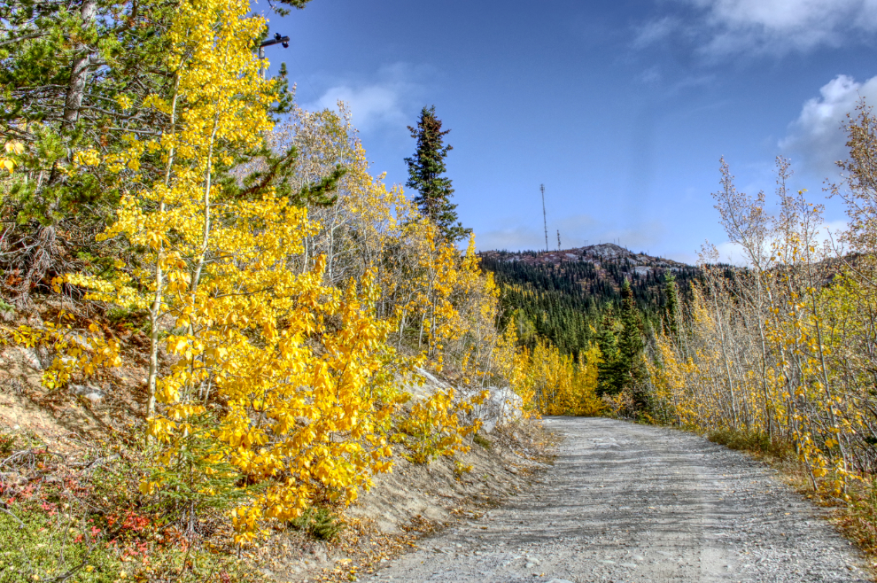 The road up Grey Mountain at Whitehorse, Yukon