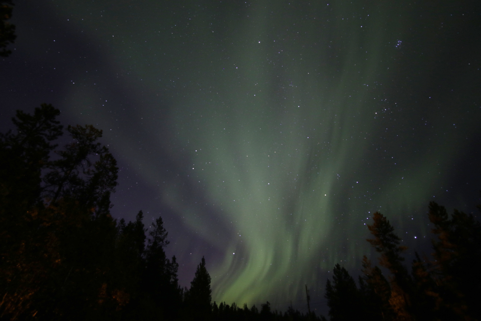The aurora borealis, shot from the street in front of my home