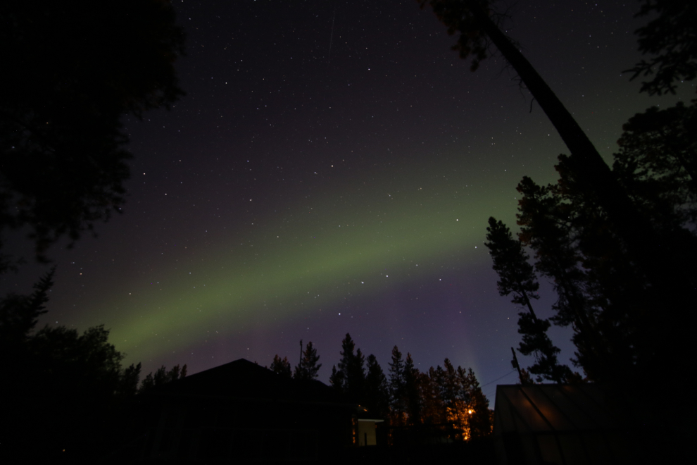 The aurora borealis at Whitehorse, Yukon