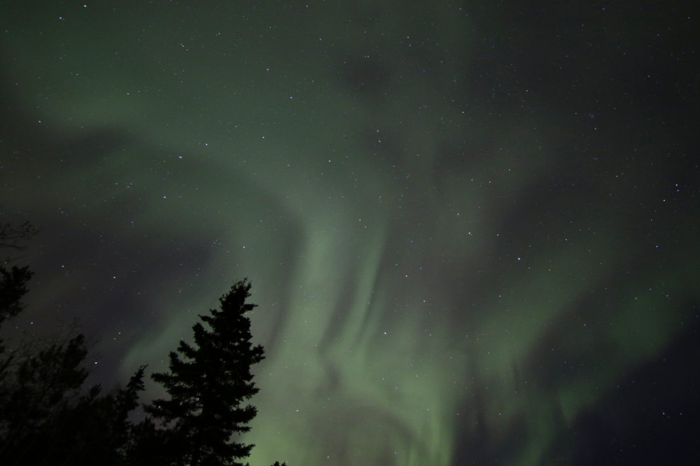 The Northern Lights over the Yukon River south of Whitehorse