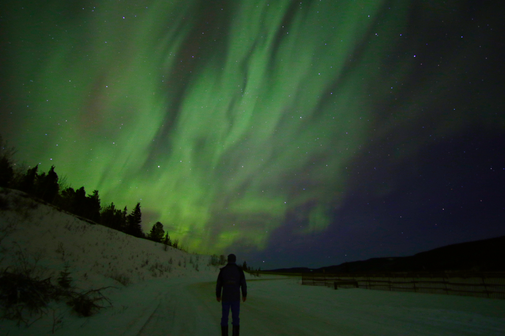 The aurora borealis over the Alaska Highway south of Whitehorse