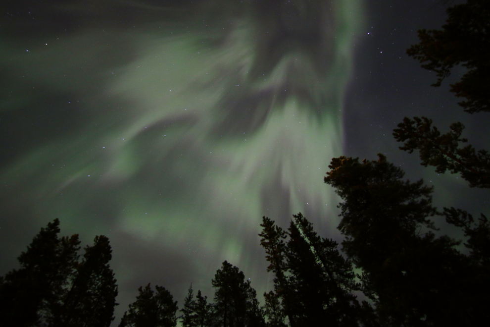 The Northern Lights over my home south of Whitehorse