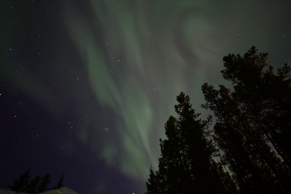 The Northern Lights over my home south of Whitehorse