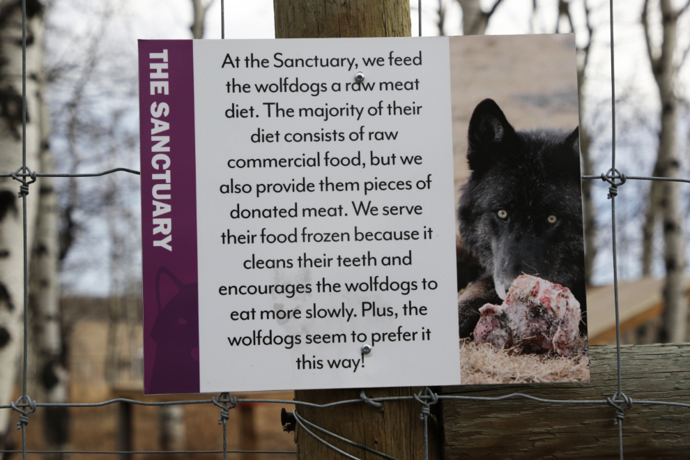 Interpretive sign at Yamnuska Wolfdog Sanctuary, Alberta