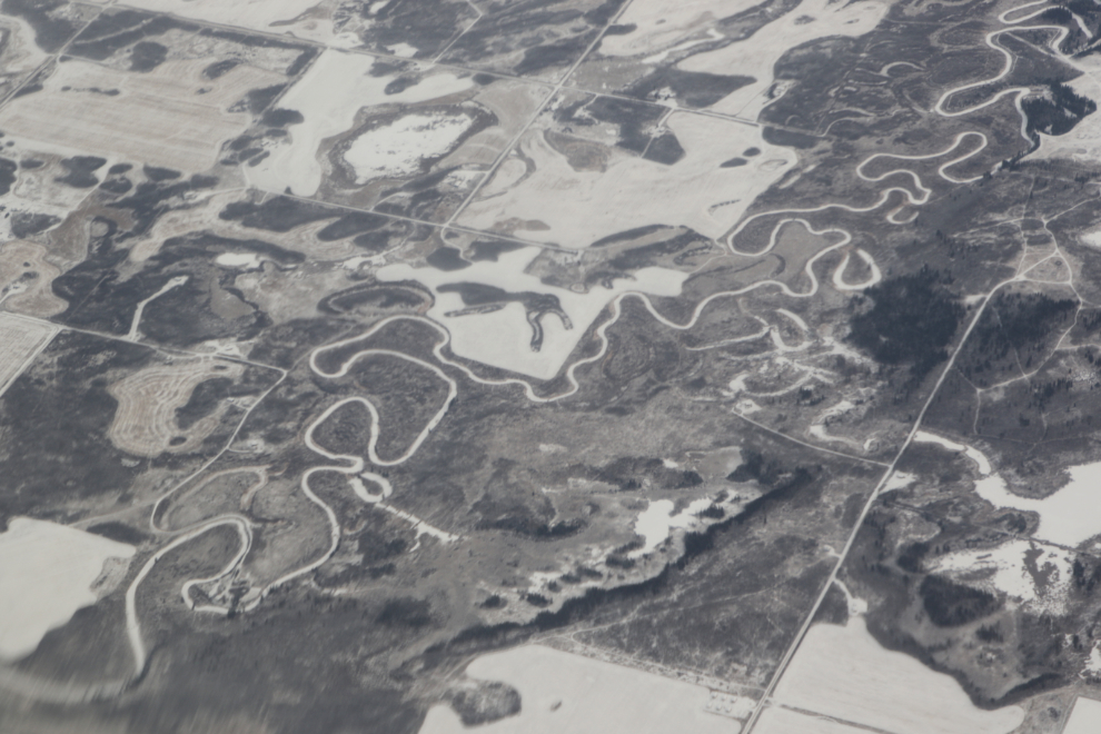 Aerial view of a meandering stream with lots of oxbows just north of Calgary.