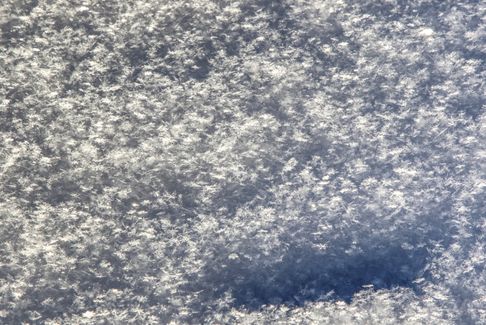 A close look at snowflakes on my deck.