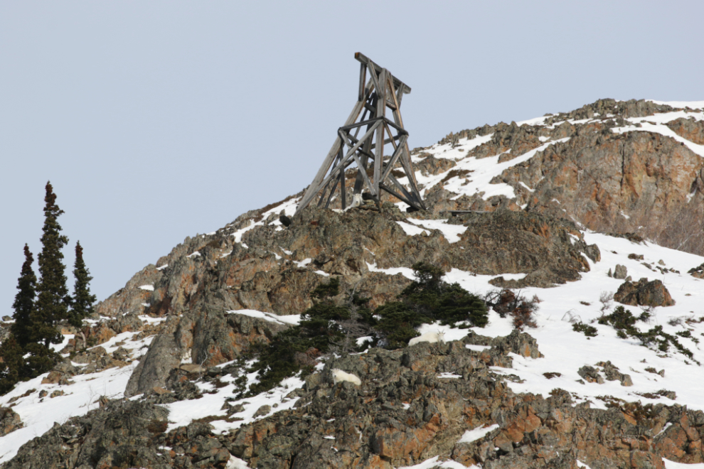 An aerial tramway tower, with a mountain goat lying under it.