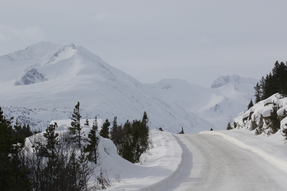The South Klondike Highway in March.