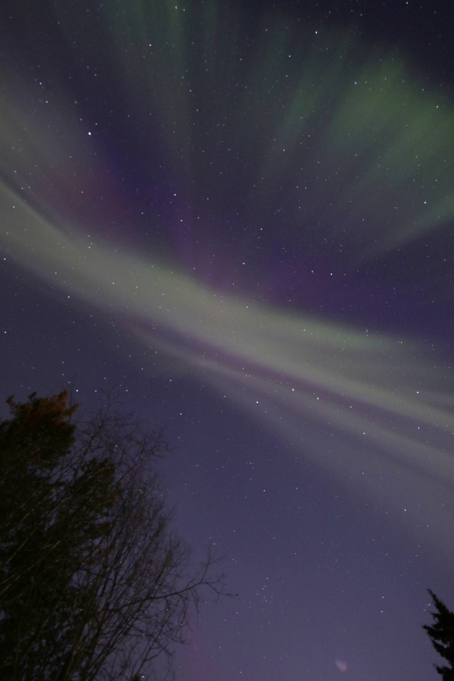 Spring aurora borealis display at Whitehorse, Yukon 