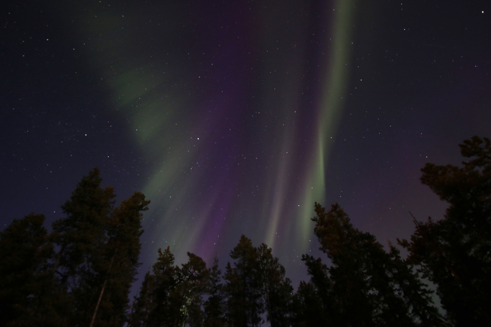 Spring aurora borealis display at Whitehorse, Yukon 