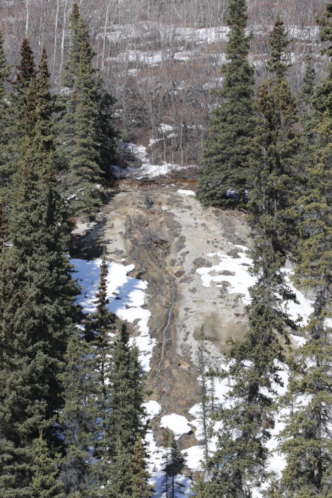 A mineral spring above the South Klondike Highway, in early April.