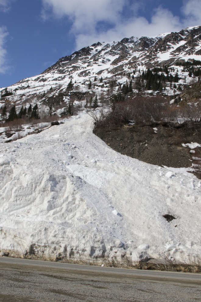 Avalanche along the South Klondike Highway in early April.