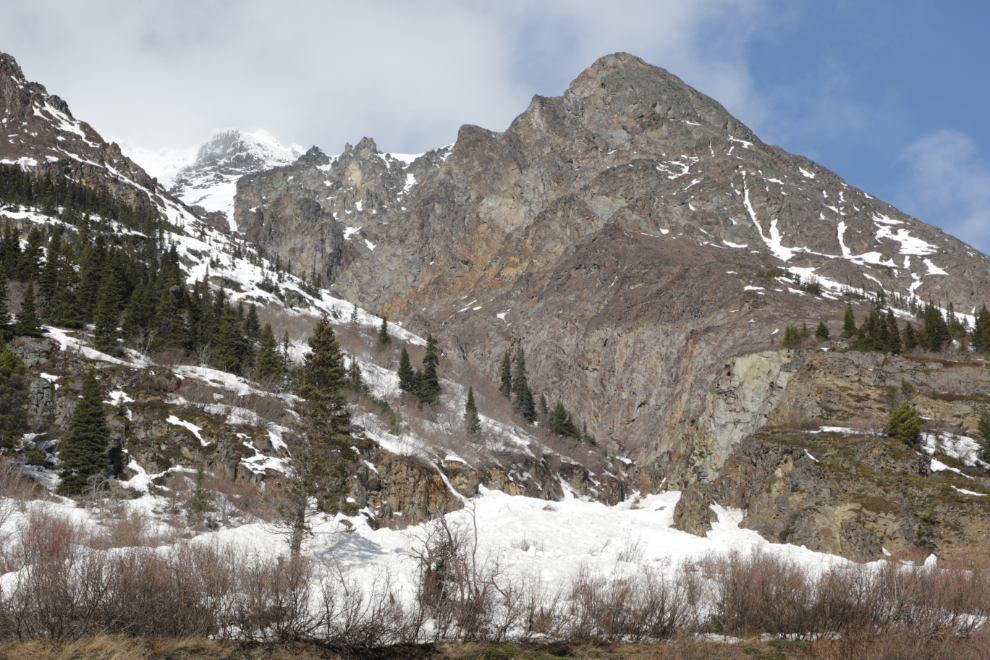 Avalanche chute along the South Klondike Highway in early April.
