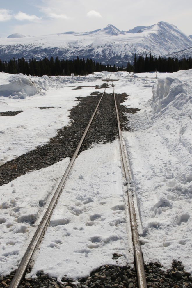 Looking south along the White Pass & Yukon Route railway line from Log Cabin