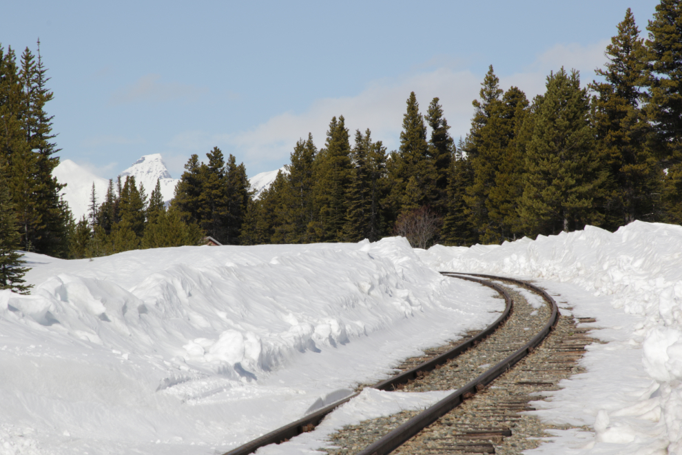 Looking north along the White Pass & Yukon Route railway line from Log Cabin