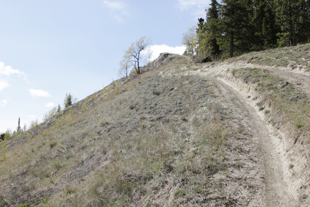 Climbing the trail to the south end of the Whitehorse airport.