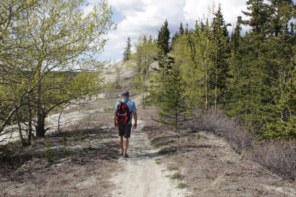 Climbing the trail to the south end of the Whitehorse airport.