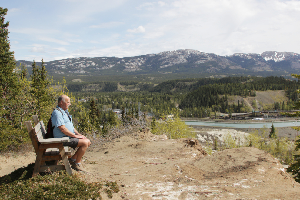 Resting on the trail to the south end of the Whitehorse airport.