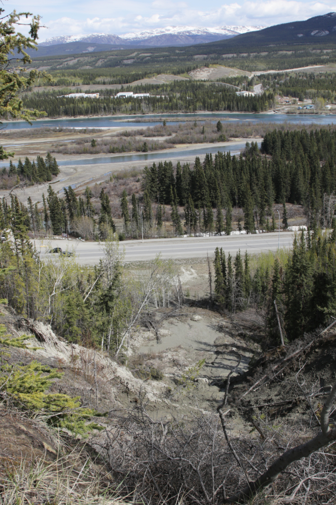 A landslide area on the Whitehorse escarpment.