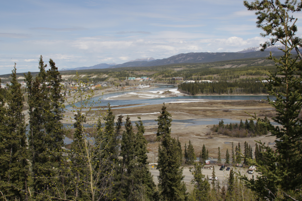 The broad views over the Yukon River from the trails at the south end of the Whitehorse airport are lovely.