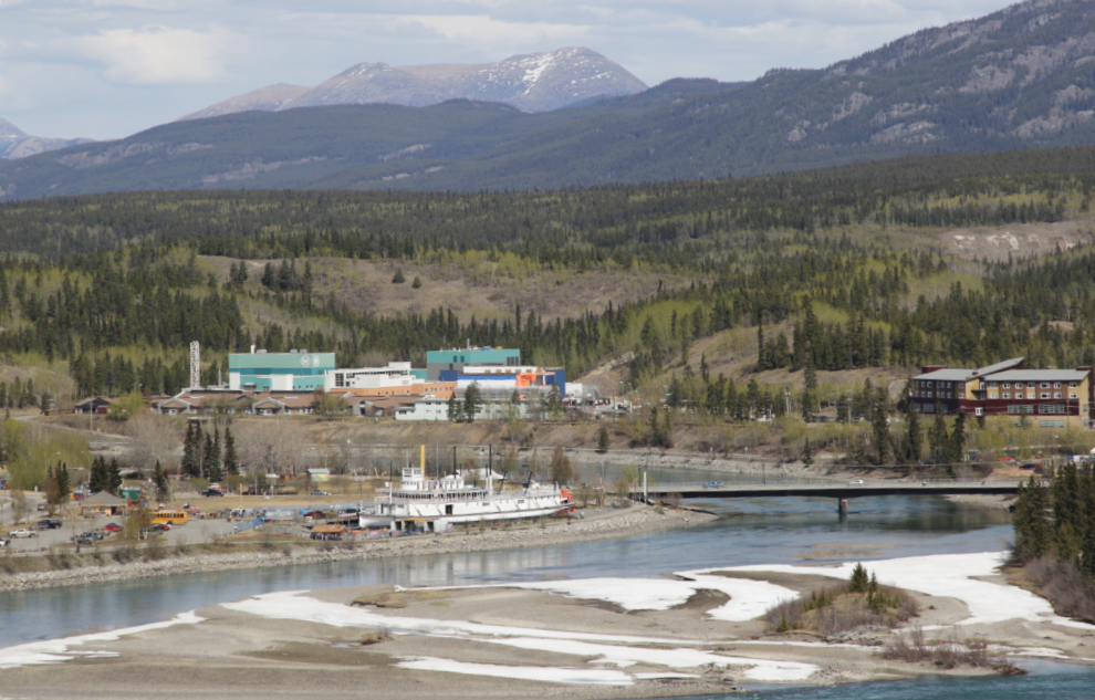 The Yukon River from the trails at the south end of the Whitehorse airport.