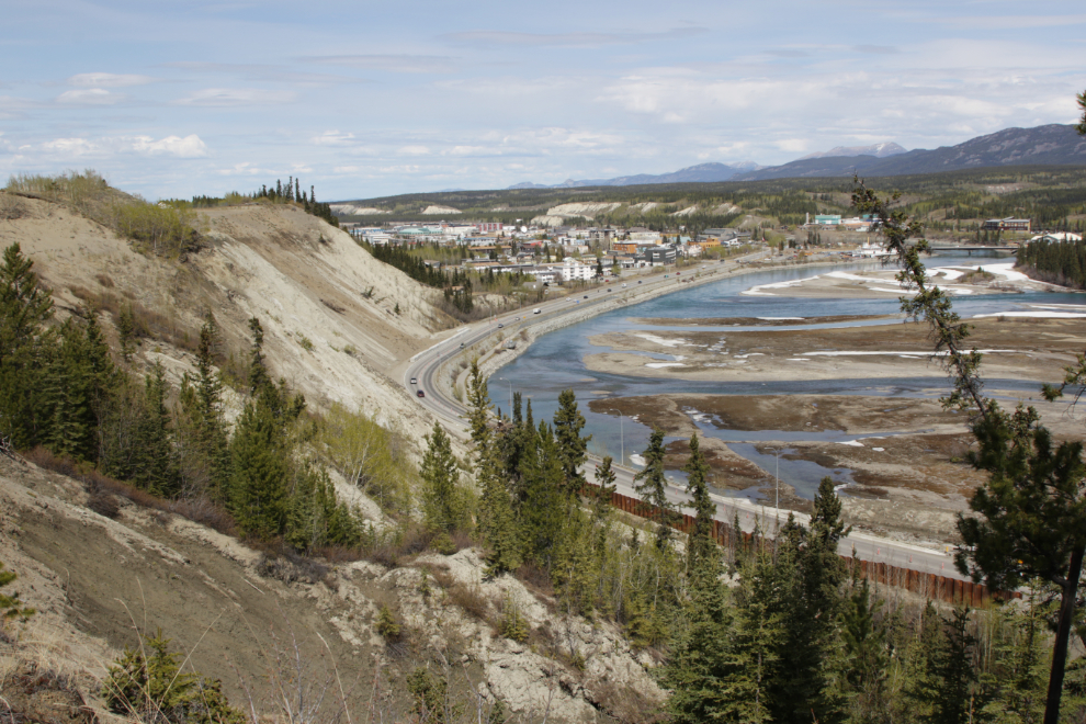 The broad views over the Yukon River from the trails at the south end of the Whitehorse airport are lovely.