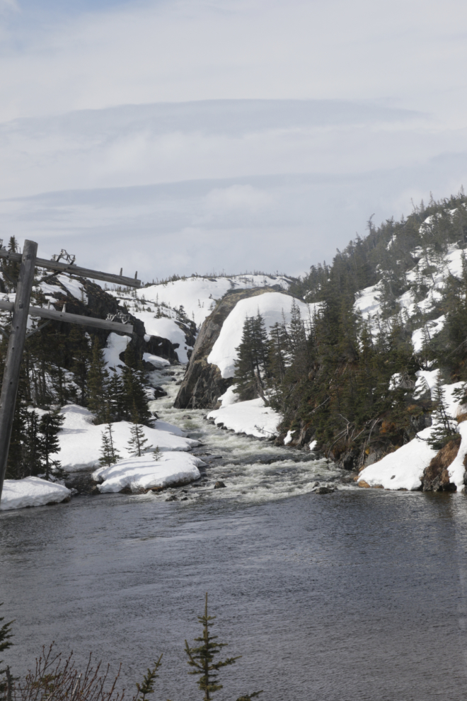 Riding the White Pass & Yukon Route railway.