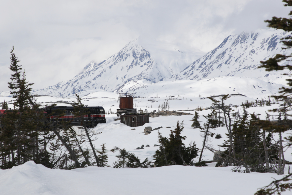 Riding the White Pass & Yukon Route railway.