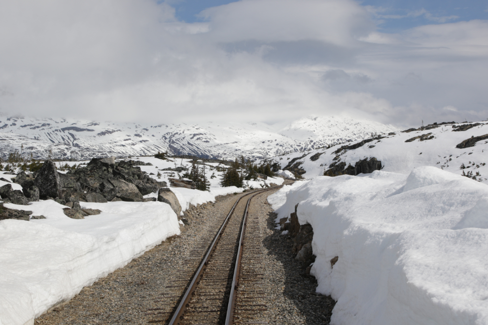 Riding the White Pass & Yukon Route railway.