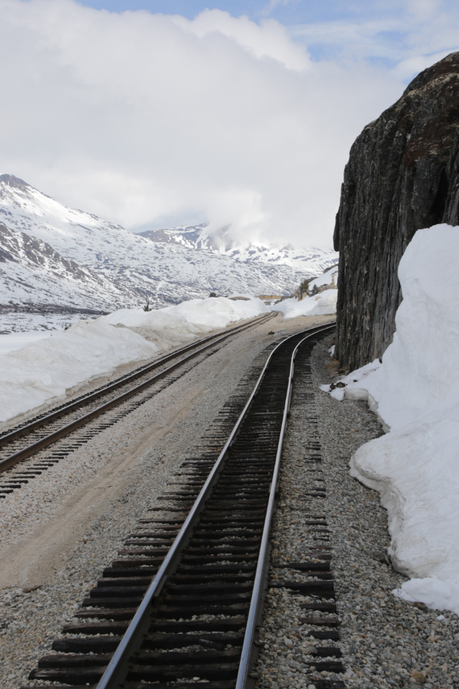 Riding the White Pass & Yukon Route railway.