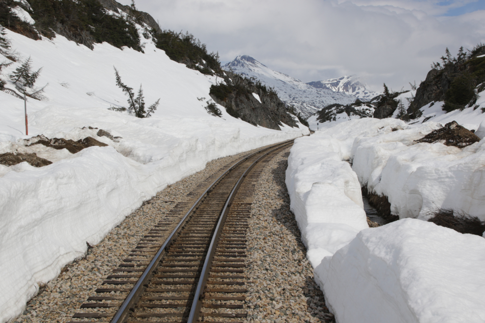 Riding the White Pass & Yukon Route railway.