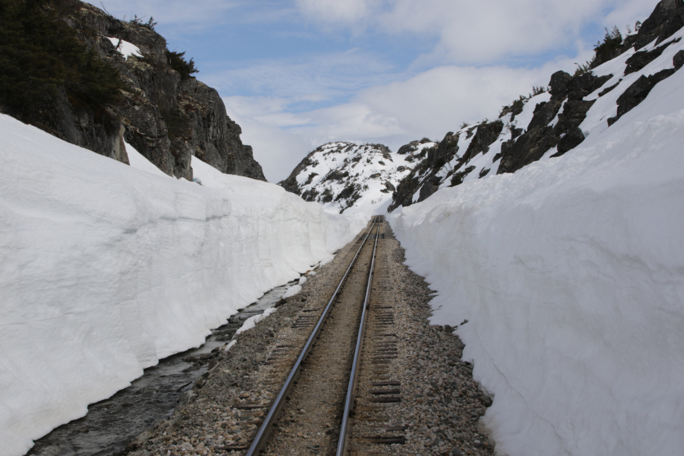 Riding the White Pass & Yukon Route railway.