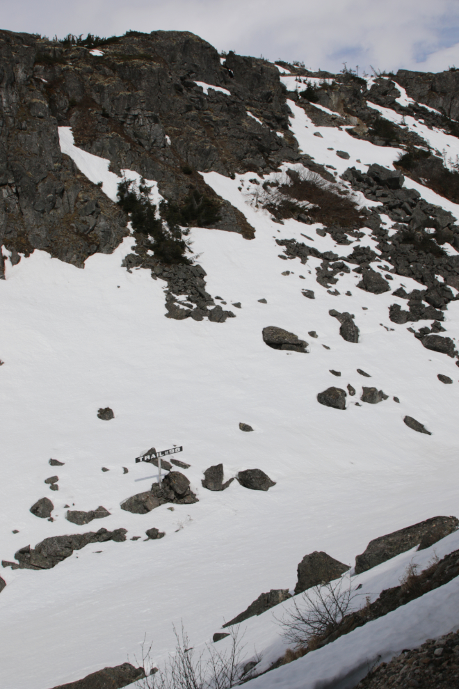 Riding the White Pass & Yukon Route railway.