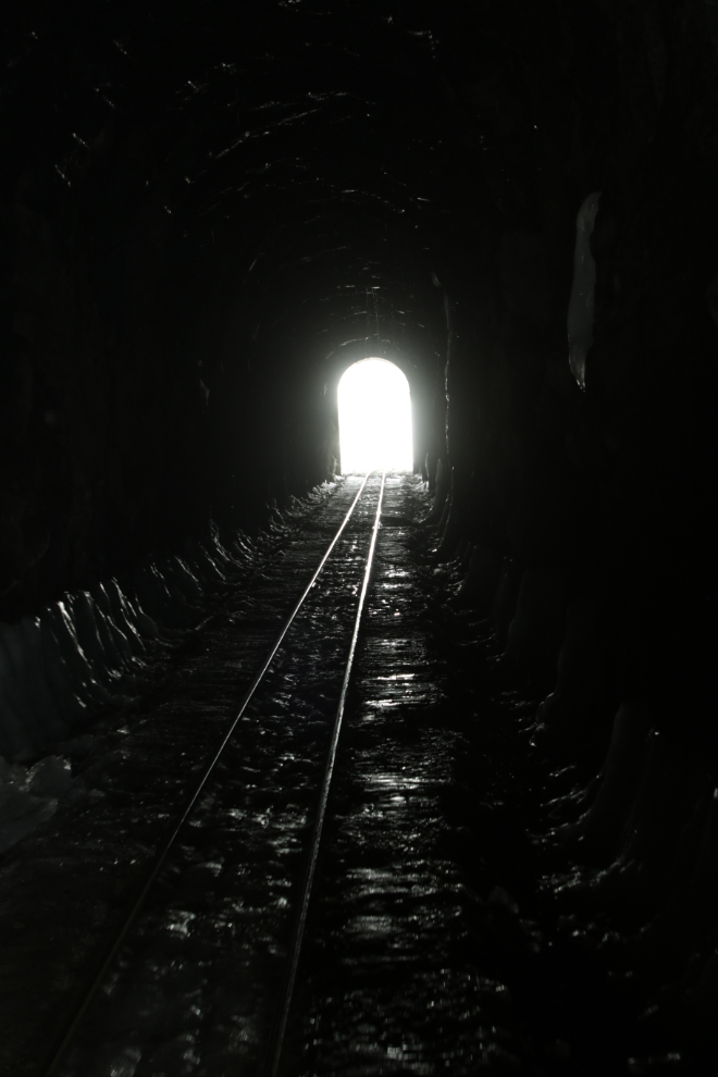 Riding the White Pass & Yukon Route railway.