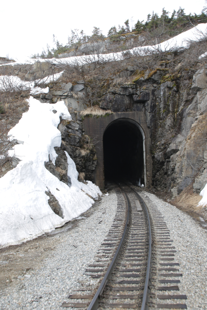 Riding the White Pass & Yukon Route railway.