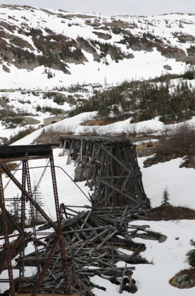 Riding the White Pass & Yukon Route railway.