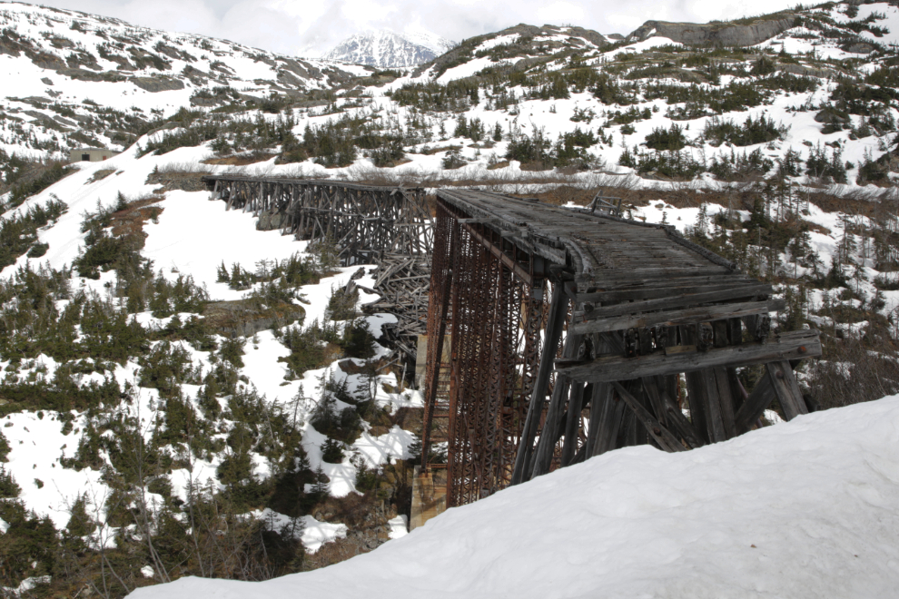 Riding the White Pass & Yukon Route railway.