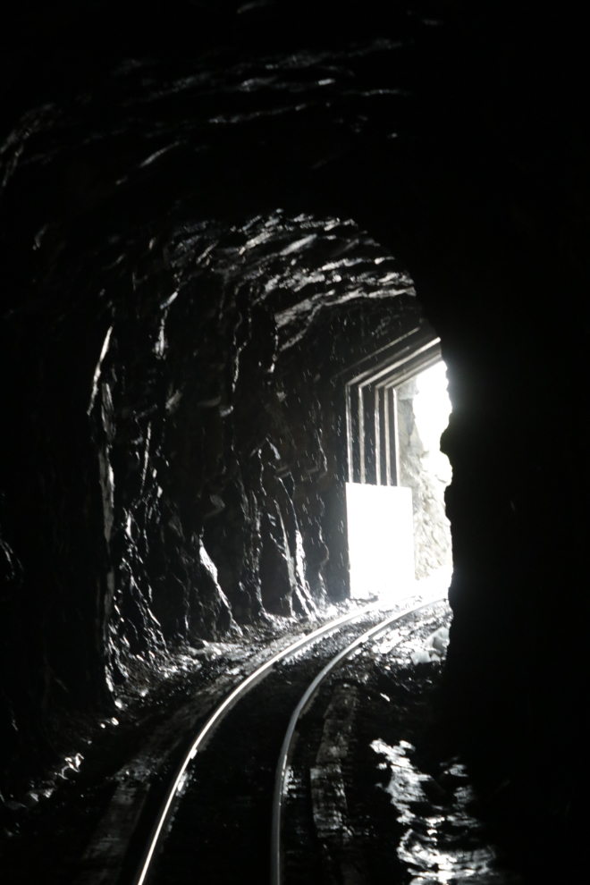 Riding the White Pass & Yukon Route railway.