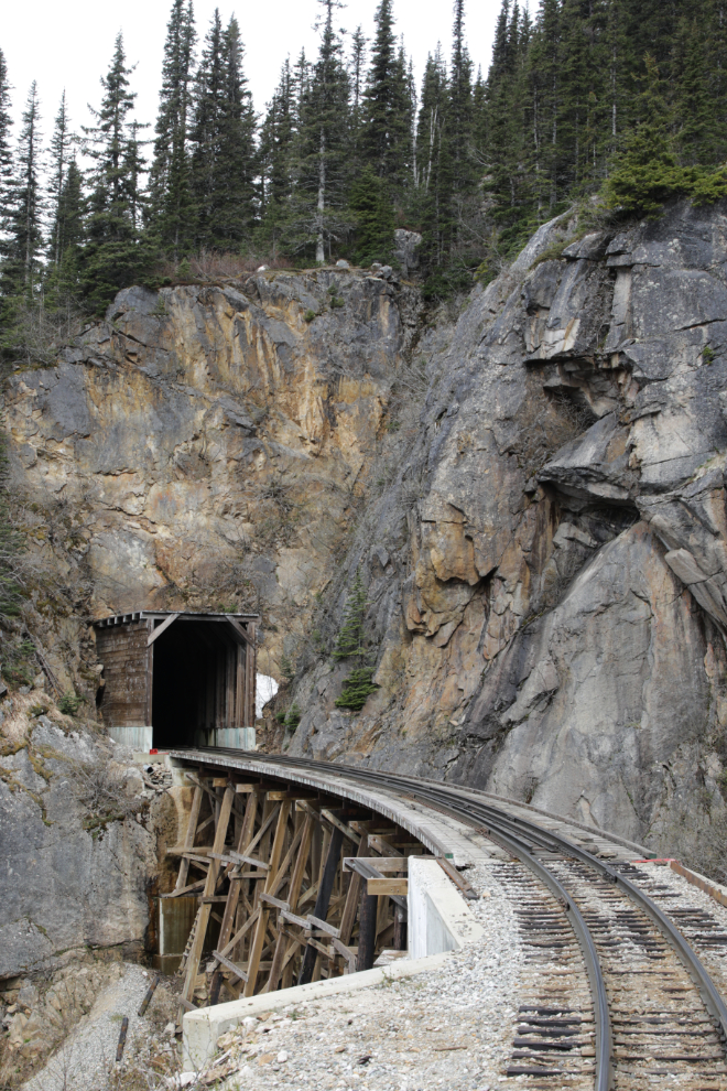 Riding the White Pass & Yukon Route railway.