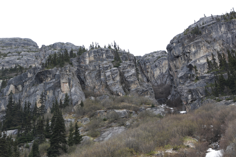 Riding the White Pass & Yukon Route railway.