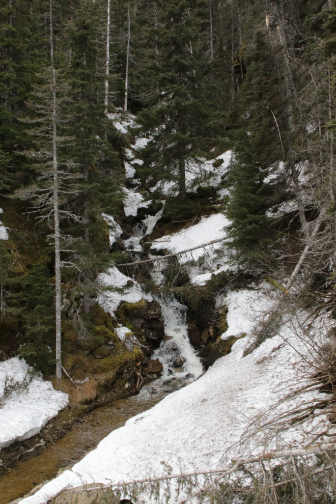 Riding the White Pass & Yukon Route railway.