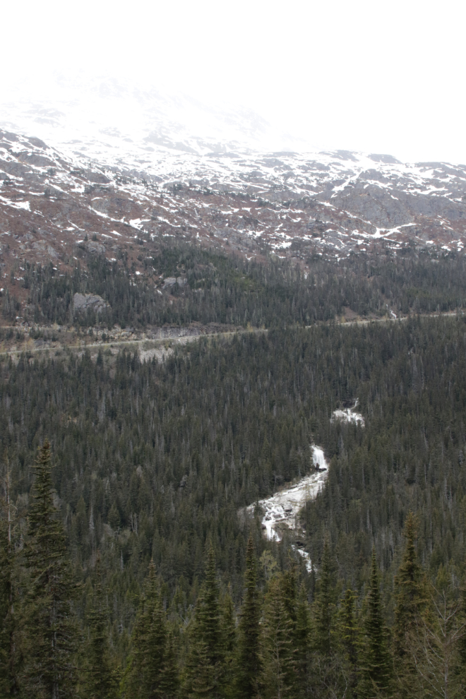 Riding the White Pass & Yukon Route railway.