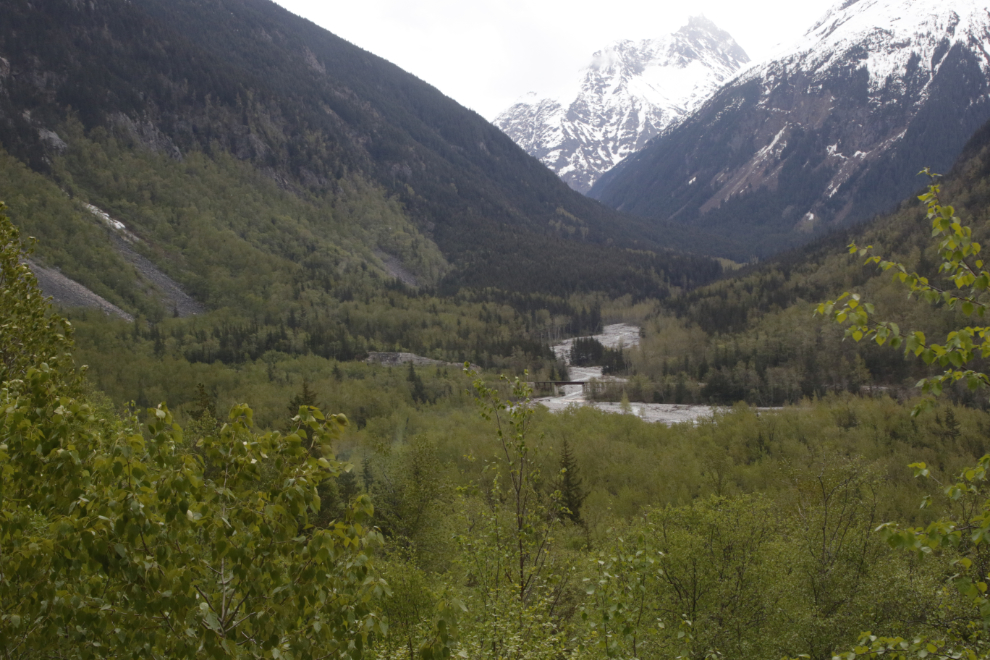 Riding the White Pass & Yukon Route railway.