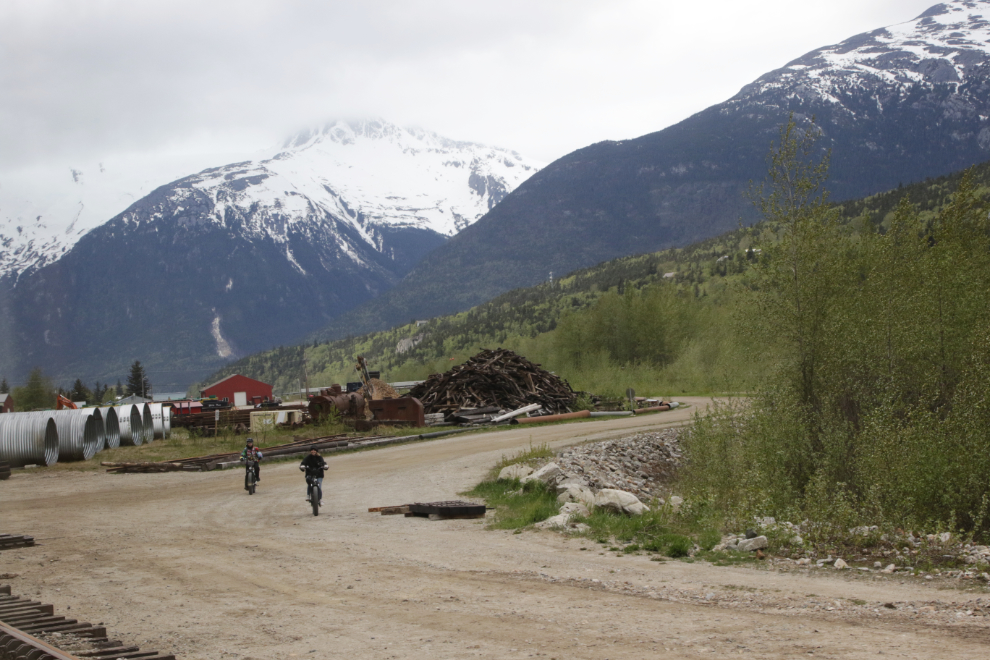 Riding the White Pass & Yukon Route railway.