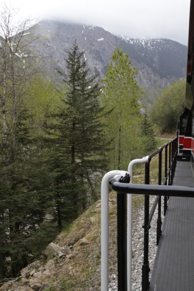 Riding the White Pass & Yukon Route railway.