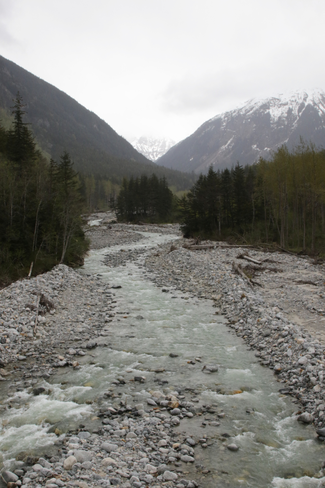 Riding the White Pass & Yukon Route railway.