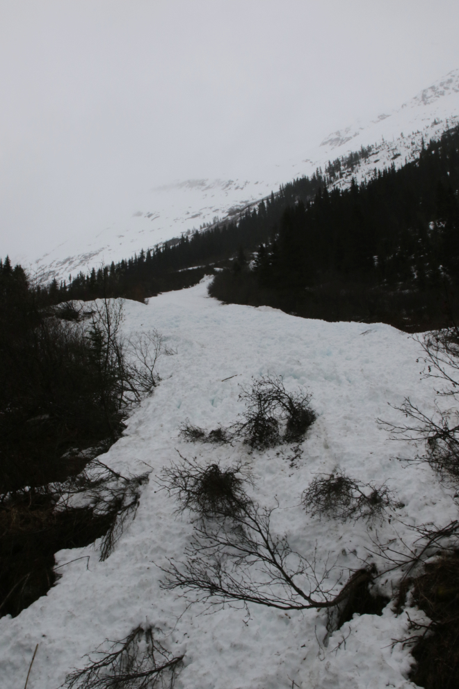 Riding the White Pass & Yukon Route railway.