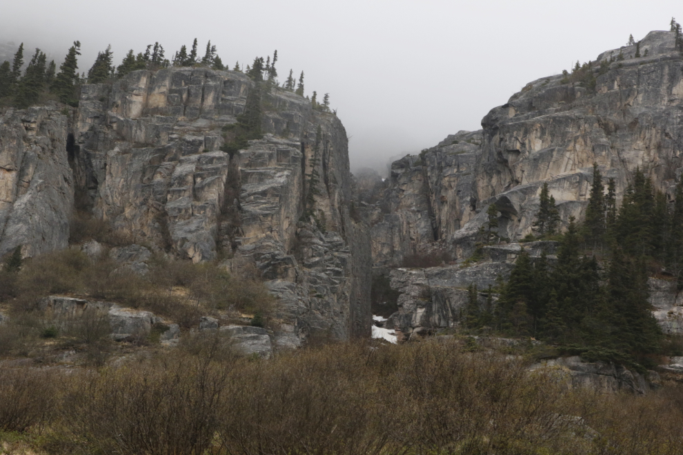 Riding the White Pass & Yukon Route railway.