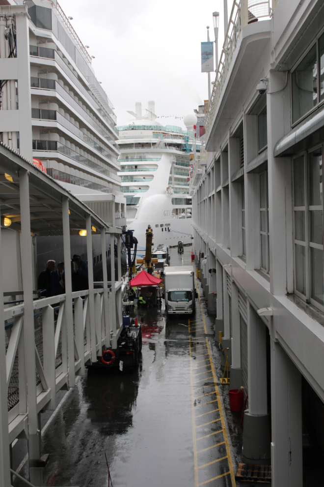 Boarding the cruise ship Nieuw Amsterdam in Vancouver.