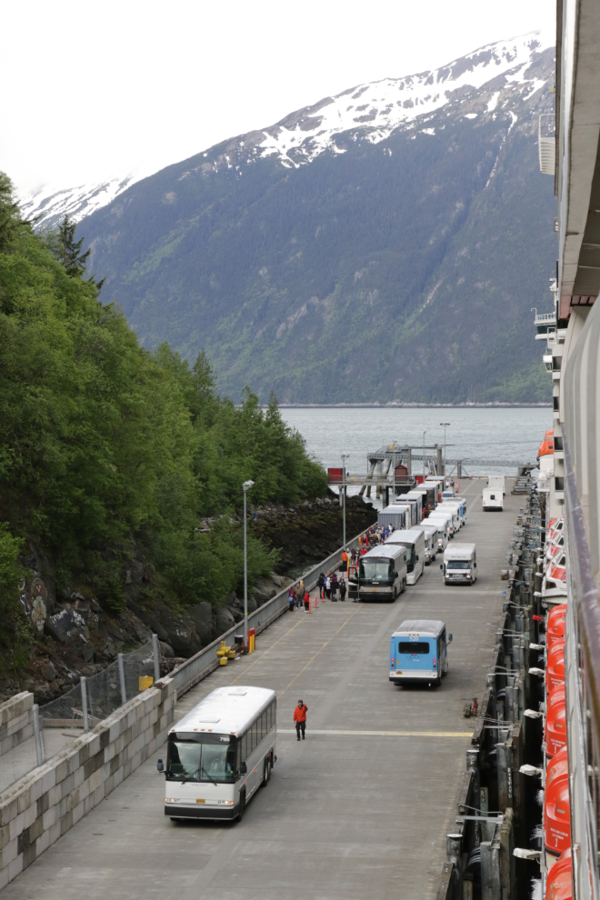 A fleet of busses on the Railroad Dock at Skagway, Alaska.